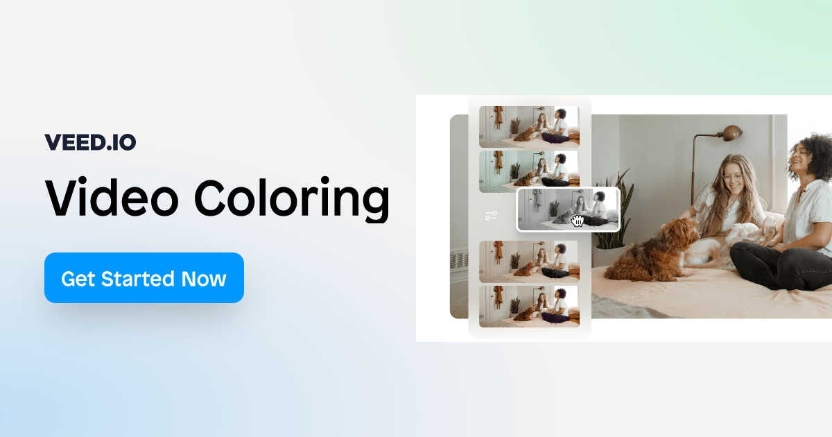 Video Coloring - Add Color Effects to Your Videos - VEED.IO